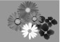 花蜜F.jpg