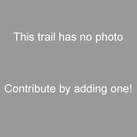 Placeholder.gif