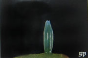 纤粉蝶卵.jpg